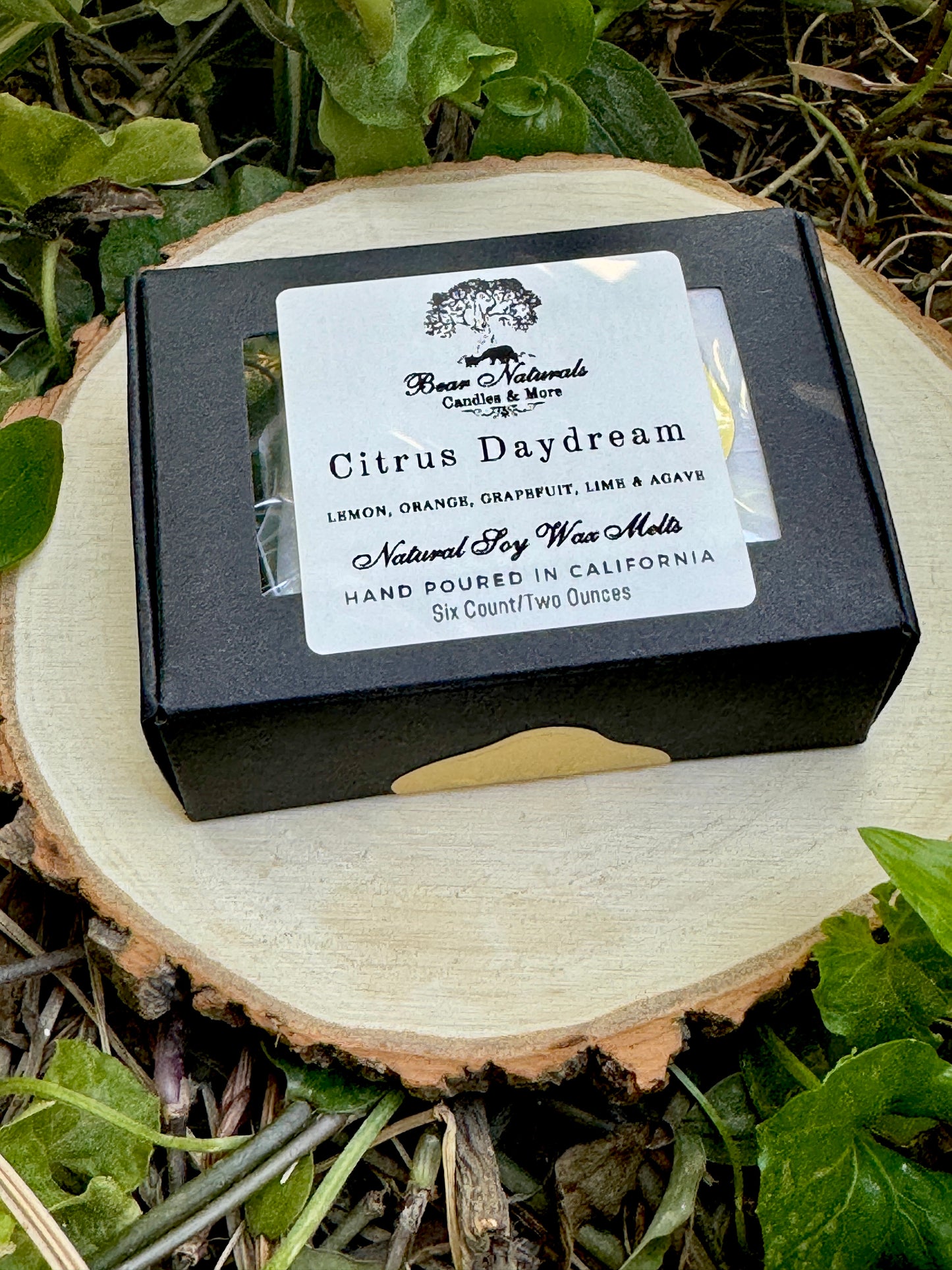 A small, hand-sized black box with a white label featuring black writing that says "Citrus Daydream" sealed with a small gold sticker sitting on a wooden surface with green leaves in the background. 