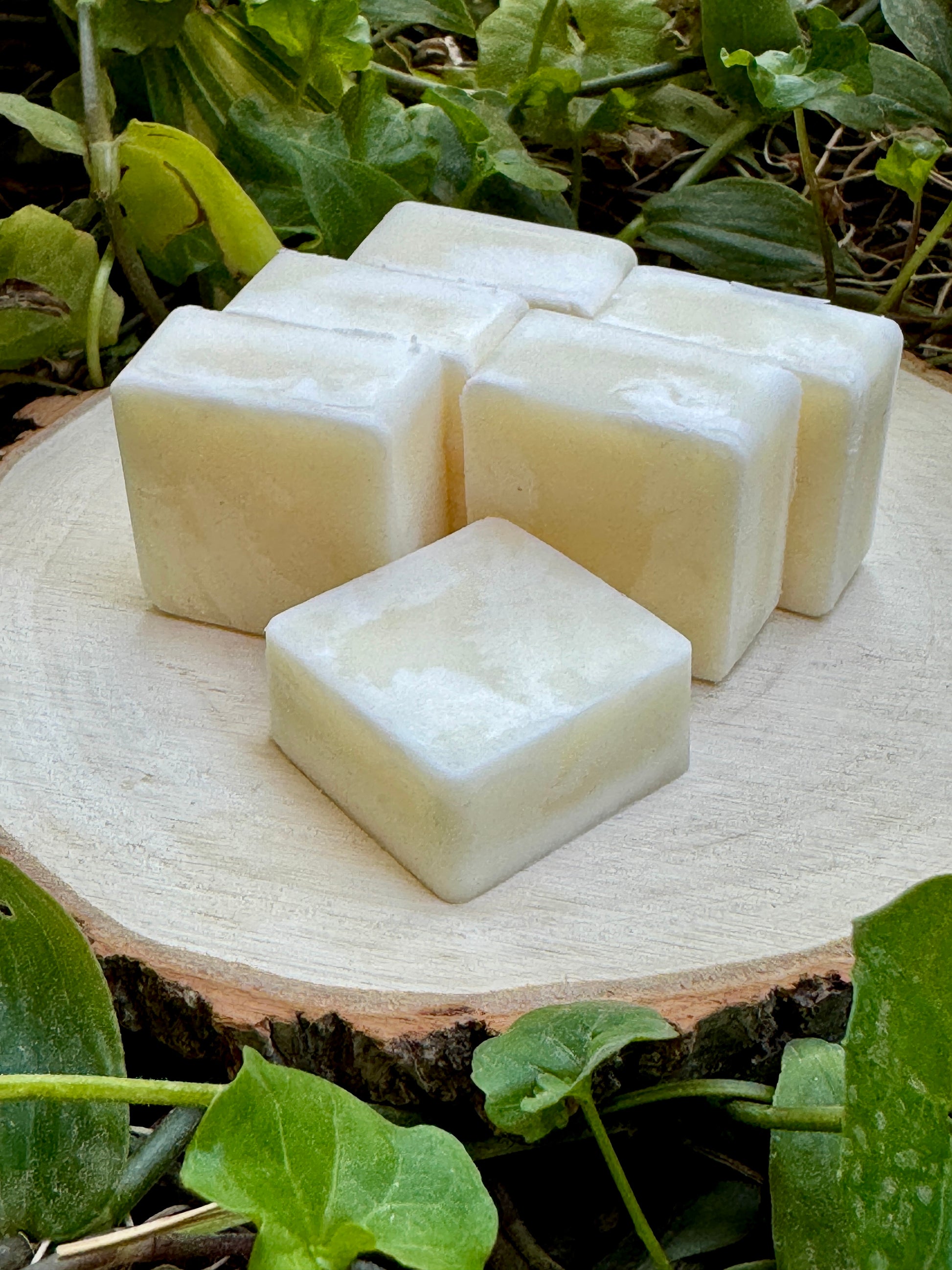 6 small white squares approximately the size of an American quarter coin sitting on a wooden block with green leaves in the background.